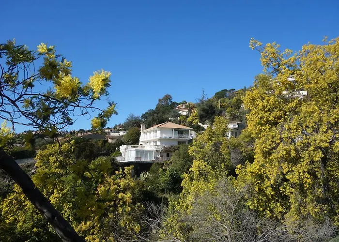 La Riviera Mandelieu